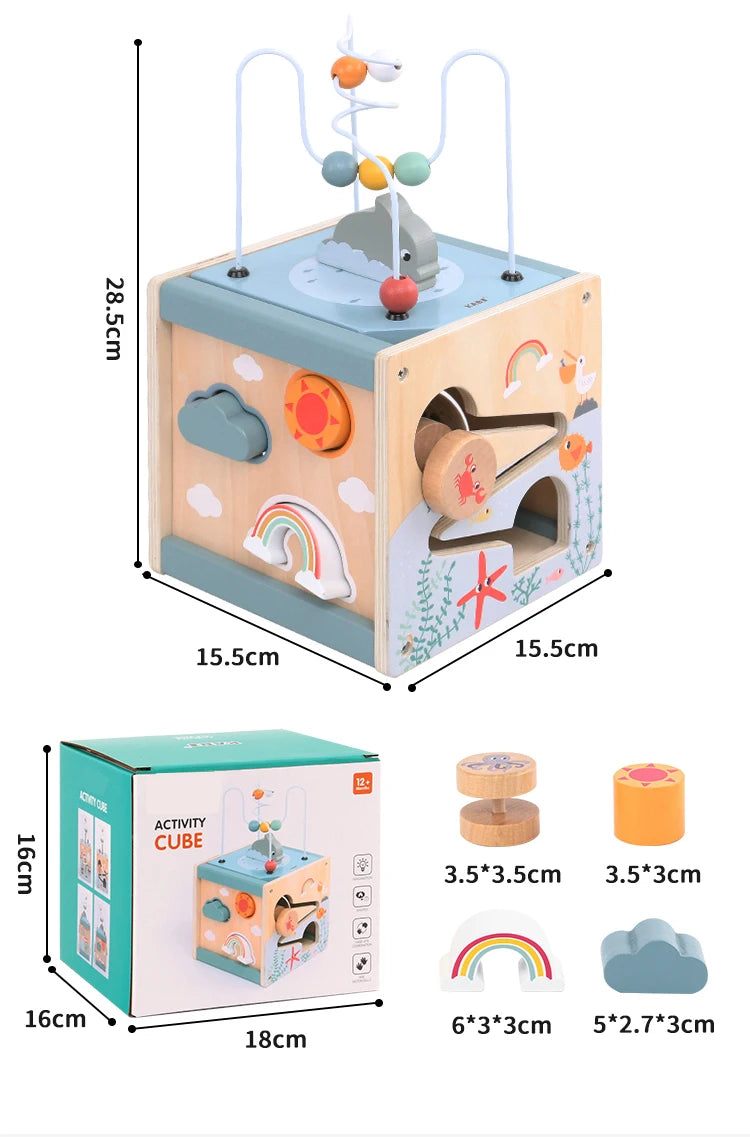 5-in-1 Learning Activity Cube