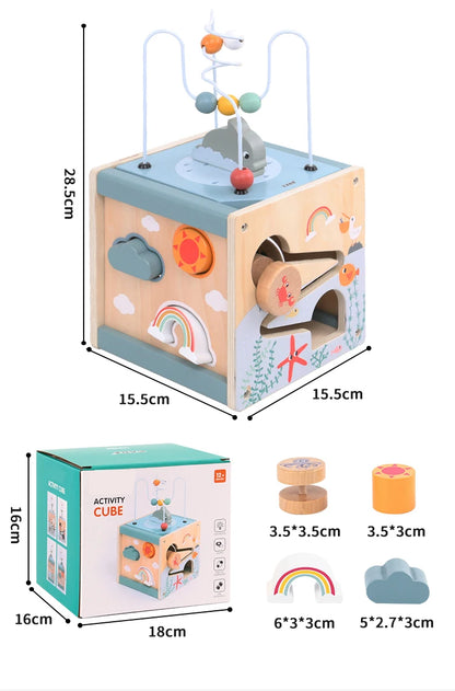 5-in-1 Learning Activity Cube