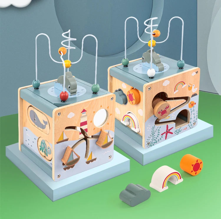 5-in-1 Learning Activity Cube