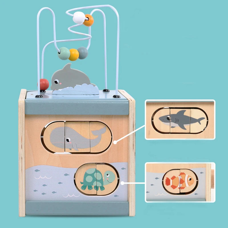 5-in-1 Learning Activity Cube