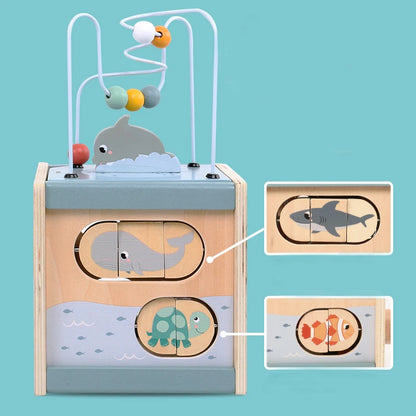 5-in-1 Learning Activity Cube