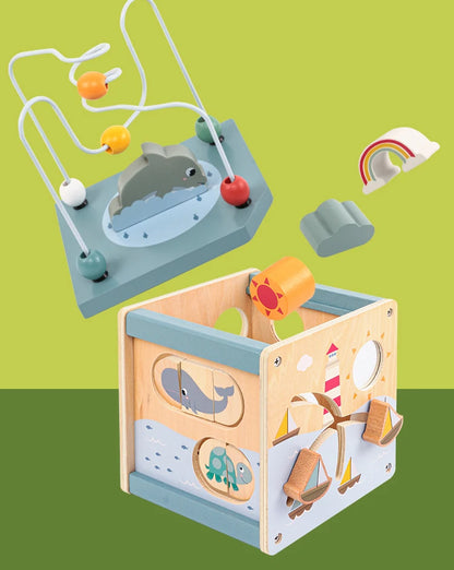 5-in-1 Learning Activity Cube