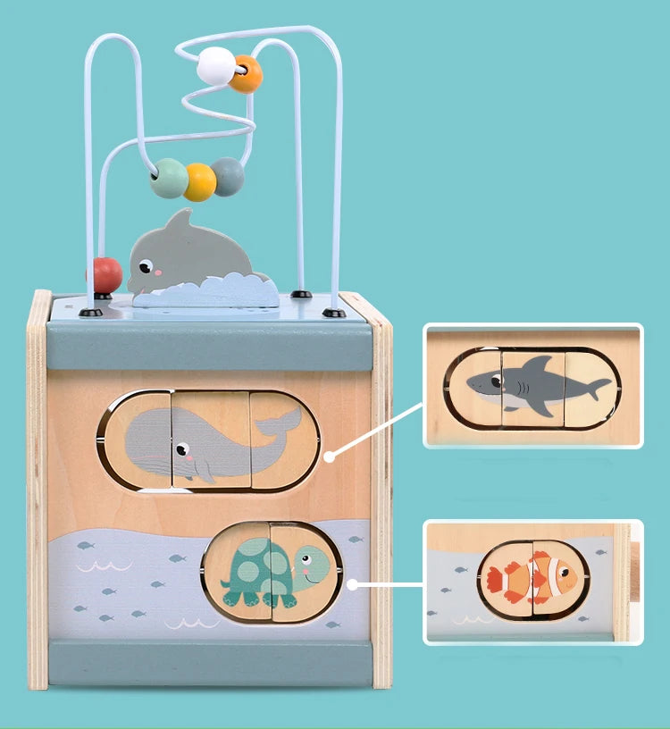 5-in-1 Learning Activity Cube