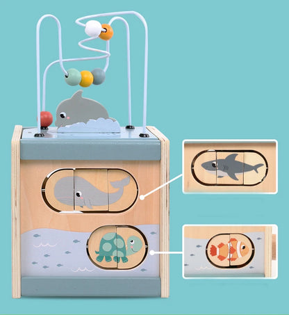 5-in-1 Learning Activity Cube