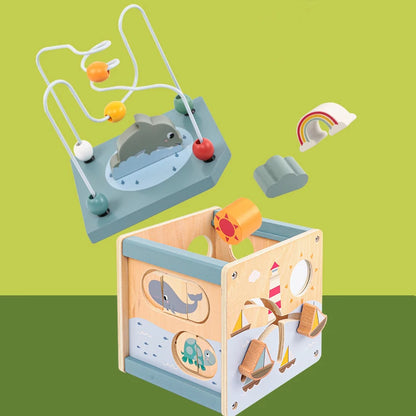 5-in-1 Learning Activity Cube