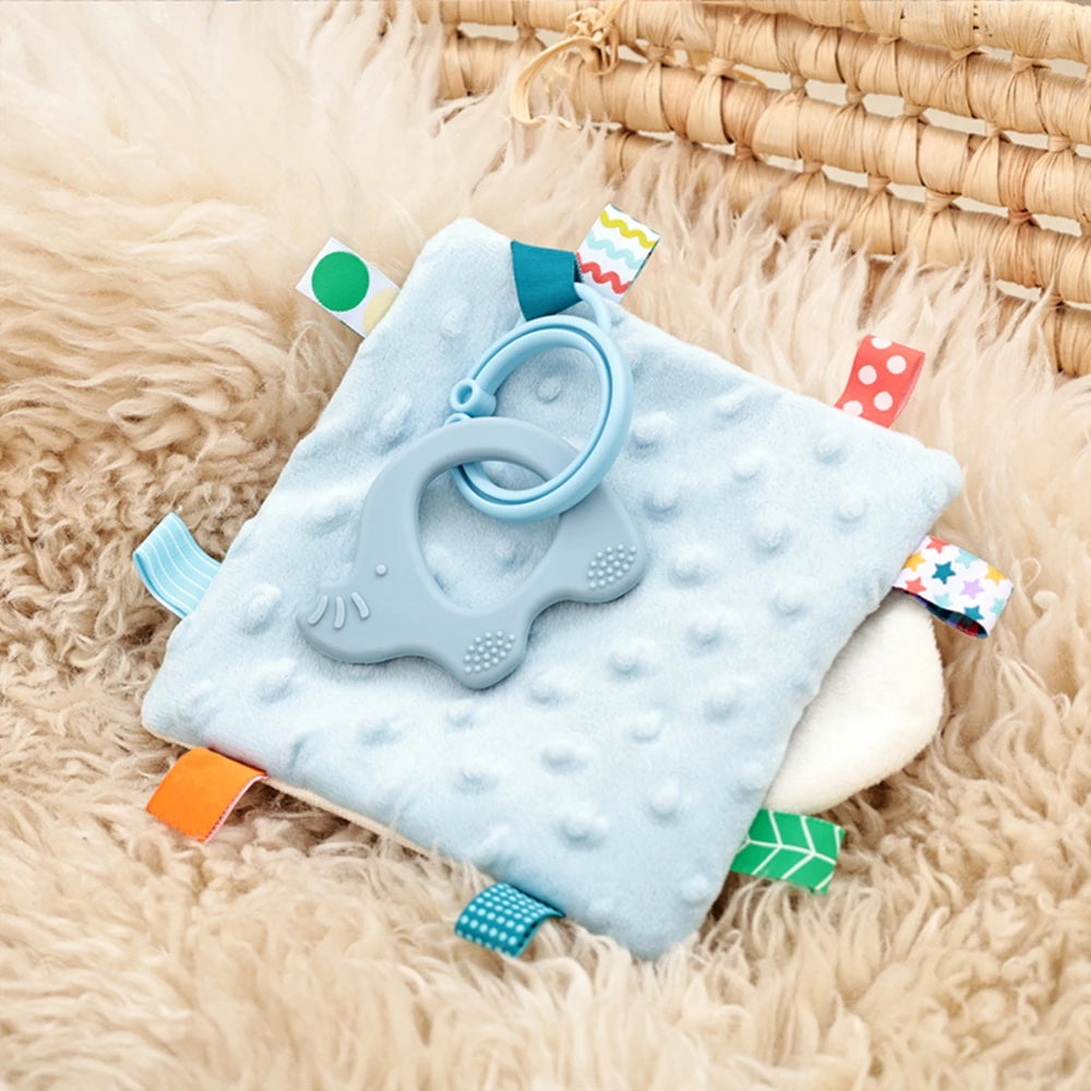 My First Sensory Cloth Book